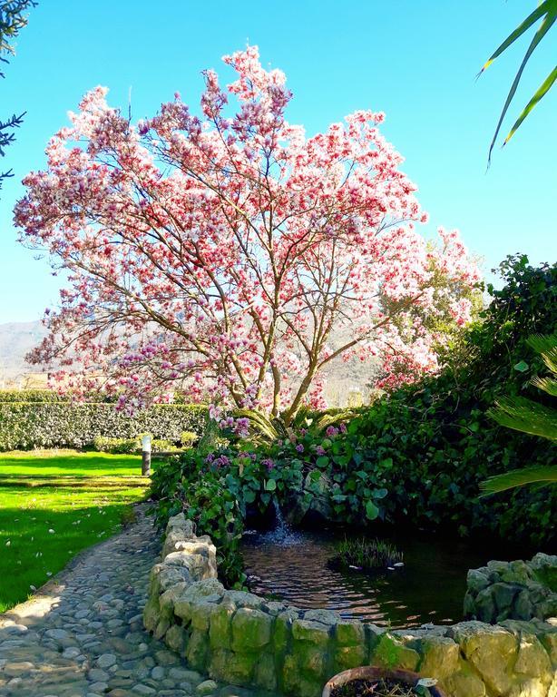 Il Casale Di Riardo Luxury B&B Luaran gambar